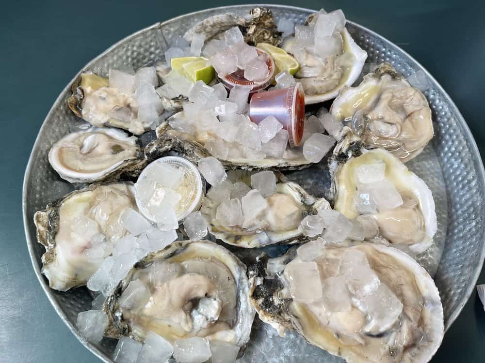 best seafood restaurant in south padre island