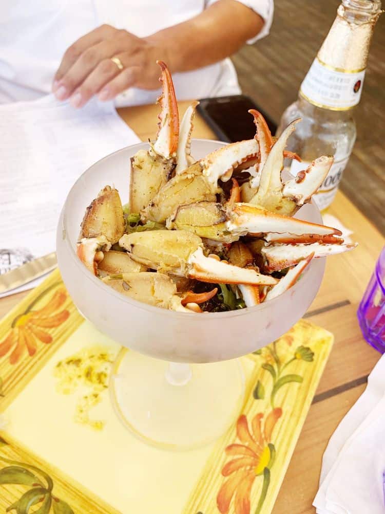 south padre seafood restaurants